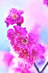 蕊にぎやかなる春うらら