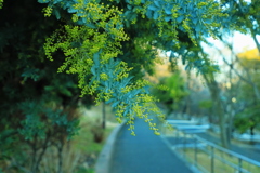 膨らむ　春　の予感