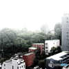 豪雨のホワイトアウト