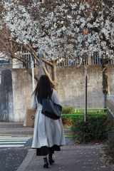 黒髪と白い花