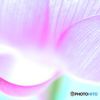 溢れる慈愛を零さぬように