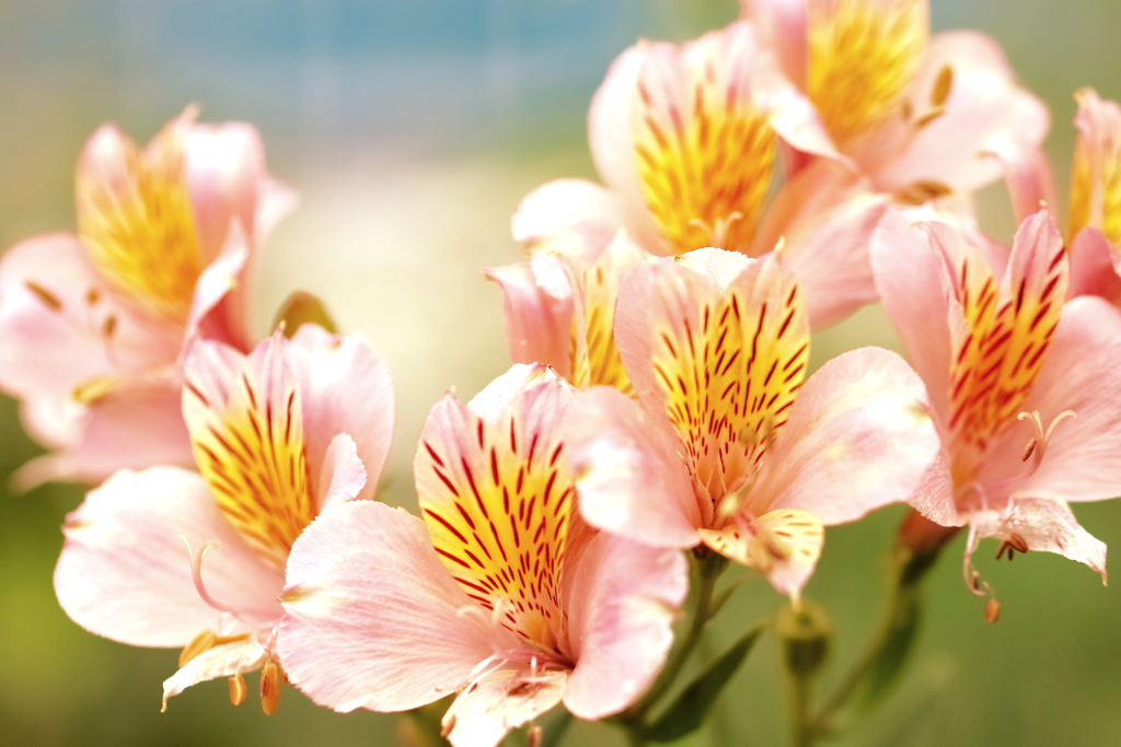 侵入経路掲示板常設