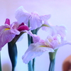 特別　な　日　には花を飾ろう