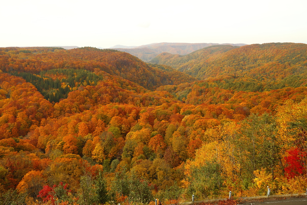 城ヶ倉渓谷の紅葉絶景
