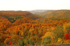 城ヶ倉渓谷の紅葉絶景
