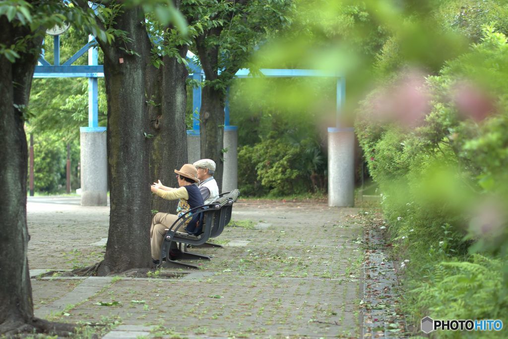 漂う豊かな時