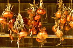 最高のオニオンスープが作れそう