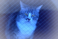 世間知らず 世間知らず