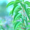 優しい　か・た・ち　①