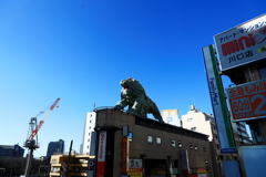 獅子奮迅の働き・・・？