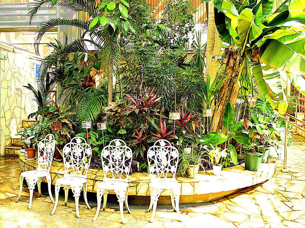 小さな小さな温室のエントランス