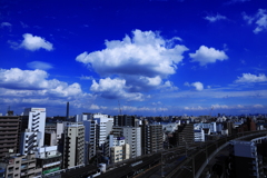 スマホで觔斗雲（きんとんうん）を呼べる？