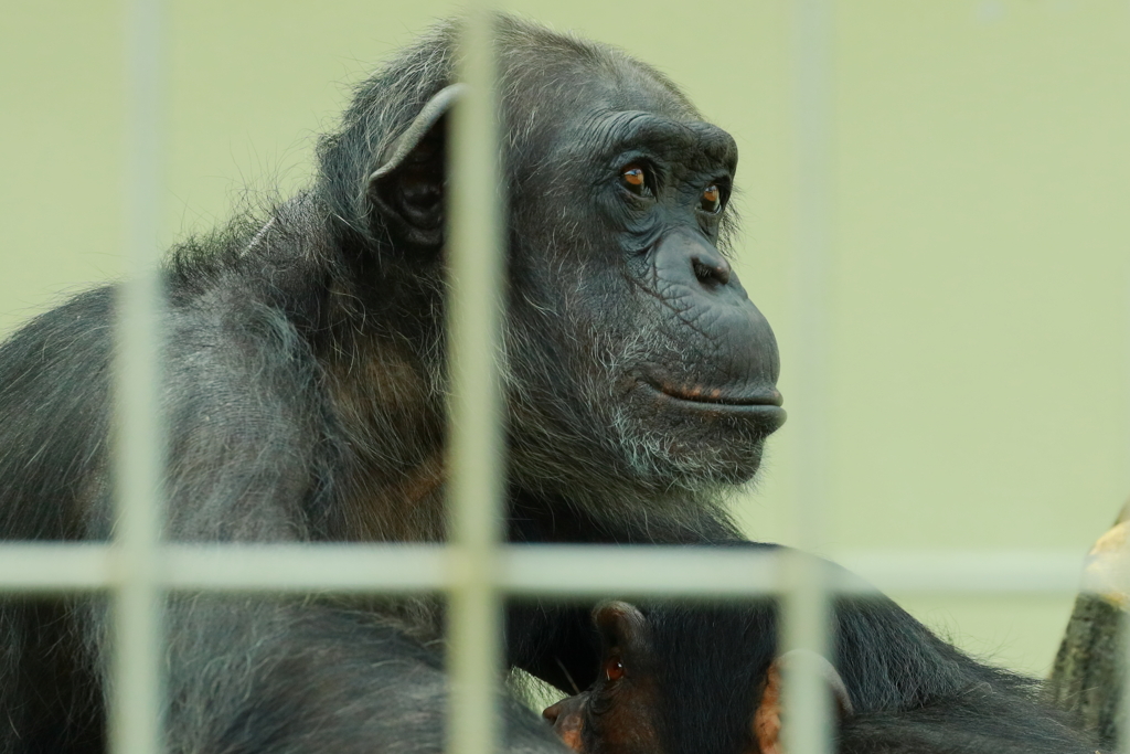 遠い視線のその先