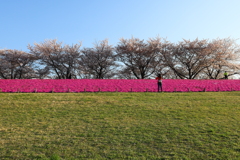 積層と女性