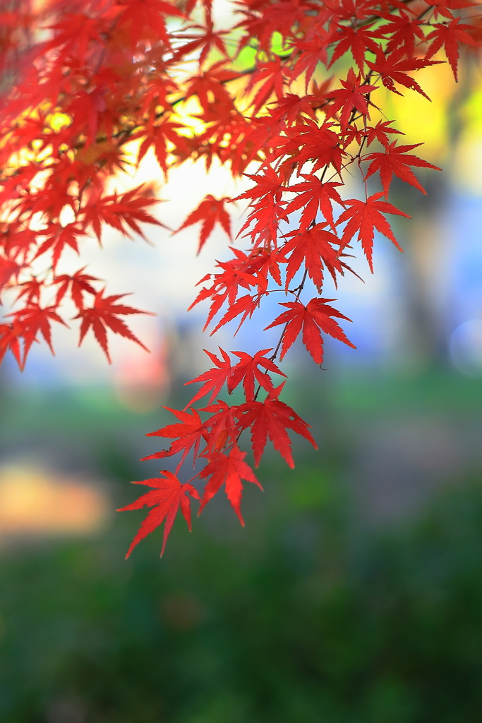 繊細な和モダン