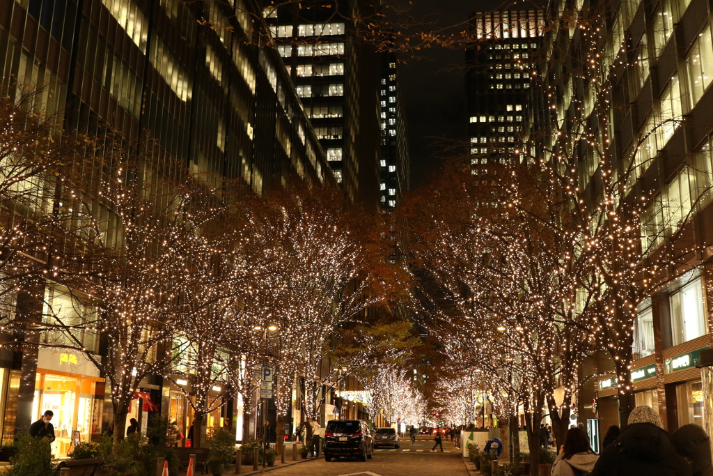 クリスマスイルミネーション