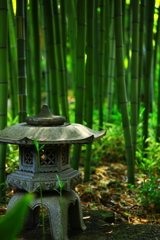 竹林の灯篭