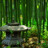 竹林の灯篭