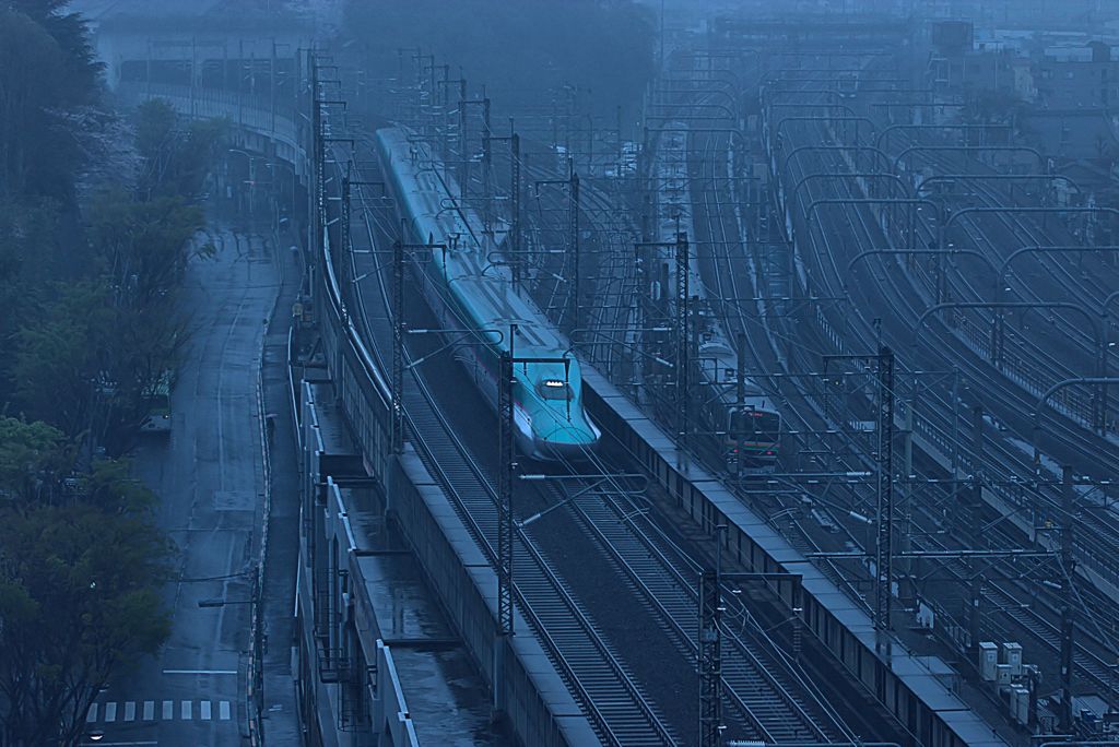 春愁　　雨の朝