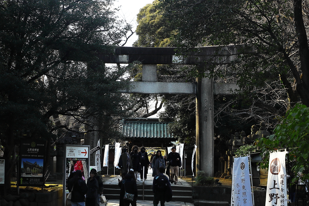 びくともしない