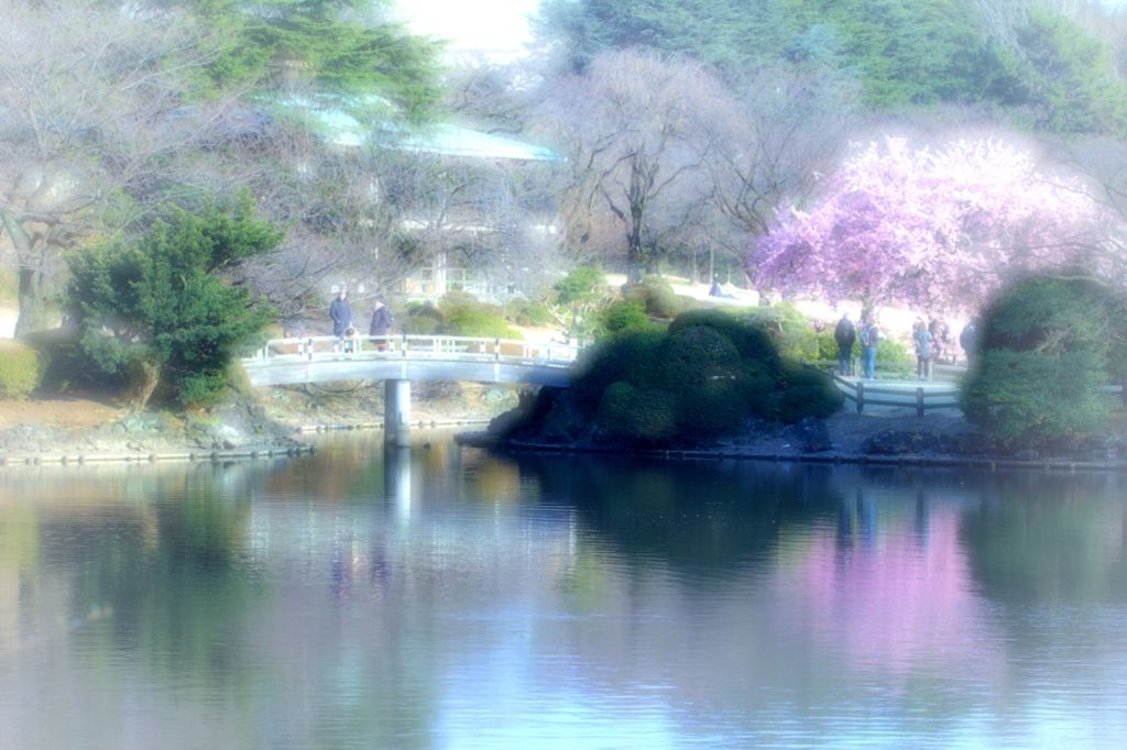 春の夢