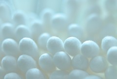 繭・・・。(;^ω^)　２