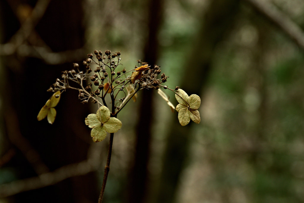 切なさという観点