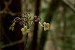 切なさという観点
