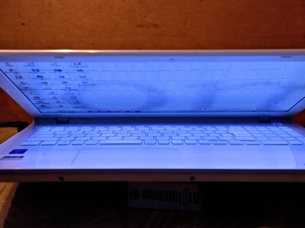 入院、加療を要す