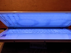 入院、加療を要す