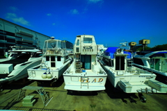 ＭＡＲＩＮＡ