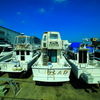 ＭＡＲＩＮＡ