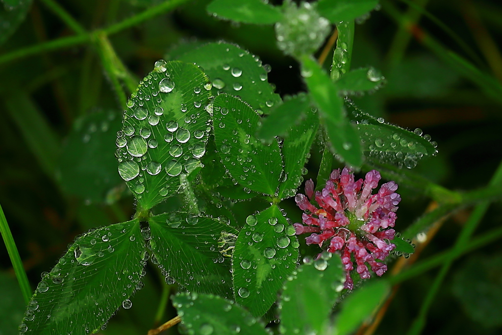空からの贈り物