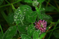 空からの贈り物