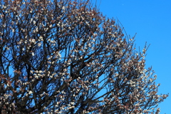 凍える　春