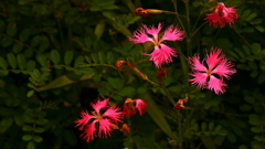 何事も最適な時期というものがある