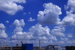 綿菓子が空を往く