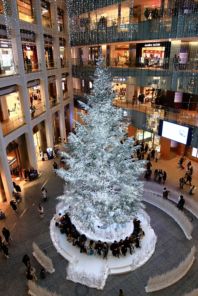 Xmas　Decoration　巡り