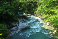 「白妙橋」　命名の理由　その２
