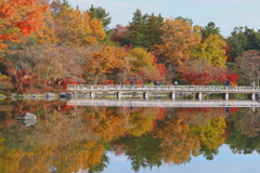 庭園風景　　木橋