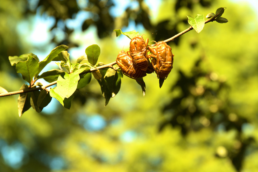 土中での申し合わせ