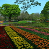 オランダ　キューケンホフ公園　日本版