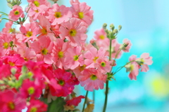 なんか～　ウキウキするな～　春