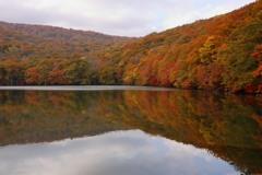 蔦沼　東京からポット来て撮影の絶好機に簡単に出会えるわけがない！