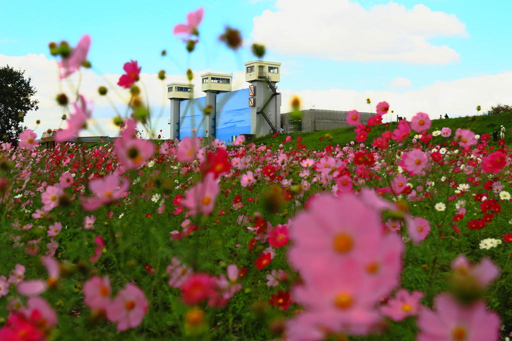 堅物な水門の笑顔