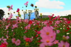 堅物な水門の笑顔