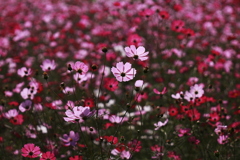 光輝あってこそ