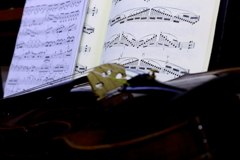 写真を撮りにいけなくなってきた