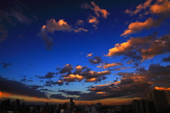 浮浪雲の行方