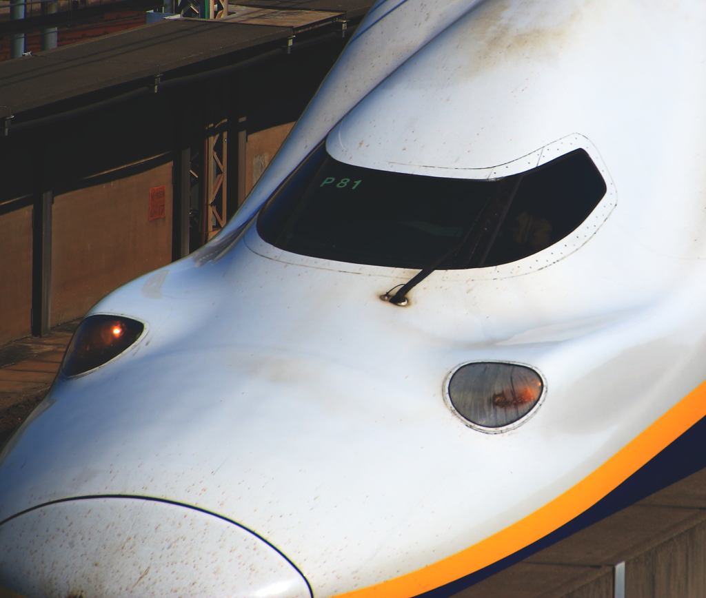 運転手は君だ・・・。